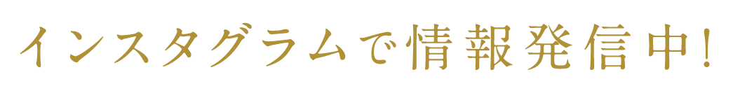 インスタグラムで情報発信中！