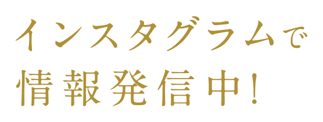 インスタグラムで情報発信中！